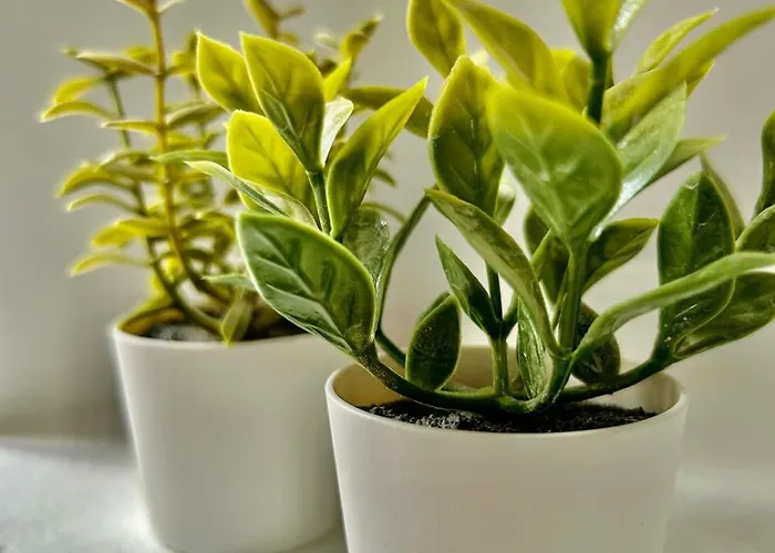 Apartment Amanecer - Confort Y Ubicacion Ideal En El Centro Torremolinos