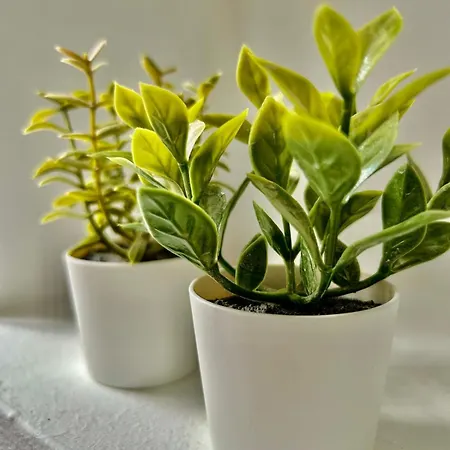 Daire Amanecer - Confort Y Ubicacion Ideal En El Centro Torremolinos